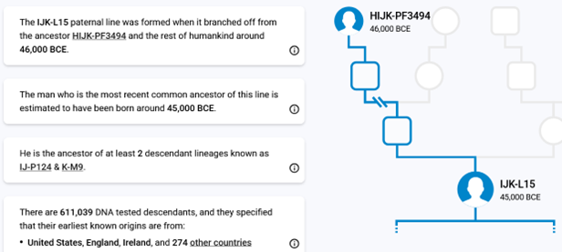 DNA hypothetical cluster