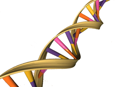 Clan Forrester DNA Information