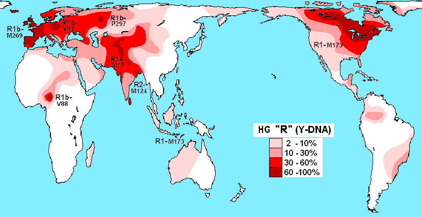 Haplogroup R