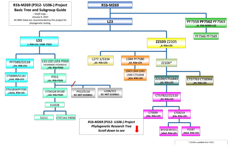 Clan Forrester DNA Information